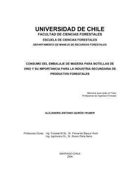 UNIVERSIDAD DE CHILE