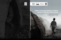 Publicação sobre produção de Carvão - WWF