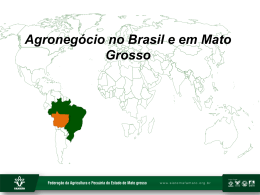 Agronegócio no Brasil e em Mato Grosso
