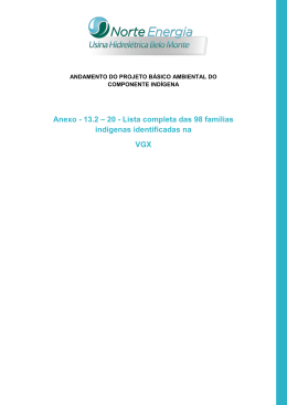 Anexo - 13.2 – 20 - Lista completa das 98 famílias indígenas