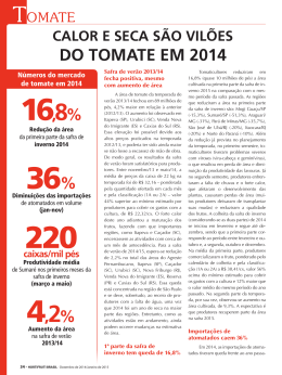 2% CALOR E SECA SÃO VILÕES dO TOMATE EM 2014