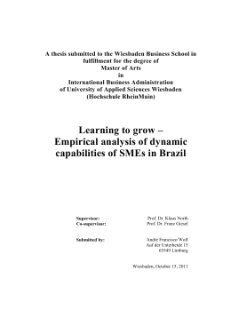 Empirical analysis of dynamic capabilities of SMEs in Brazil