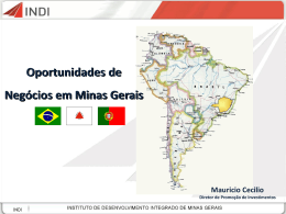 Oportunidades de Negócios em Minas Gerais