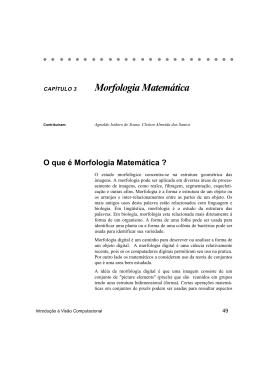 Morfologia Matemática