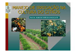 Manejo de irrigação na cultura do citros
