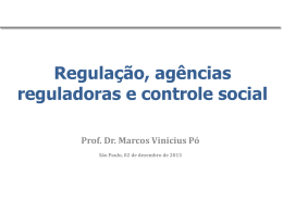Escola de governo_regulação e agências reguladoras_20131202