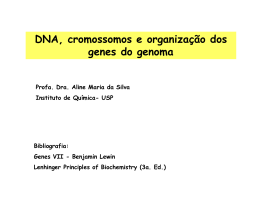 Aula Aline DNA cromossomos genes bioinfo