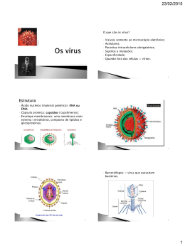 Biologia - Os Vírus