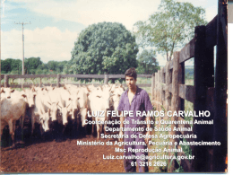LUIZ FELIPE RAMOS CARVALHO