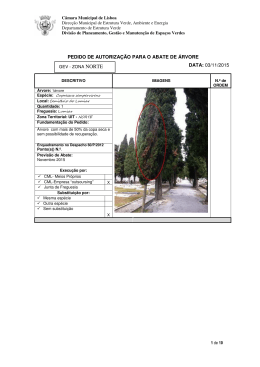 pedido de autorização para o abate de árvore data: 03/11/2015