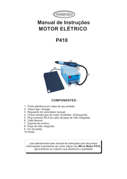 Manual de Instruções MOTOR ELÉTRICO P410