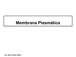 Membrana Plasmática - Departamento de Biologia