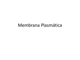 Membrana Plasmática - Enfermagem