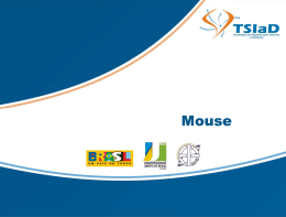 Funcionamento e tipos de mouse