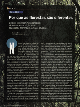 Por que as florestas são diferentes