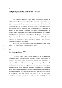 Capítulo 02 - Divisão de Bibliotecas e Documentação PUC-Rio