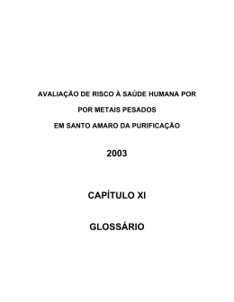 2003 CAPÍTULO XI GLOSSÁRIO