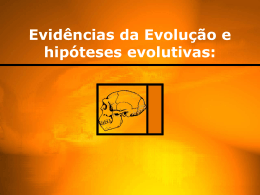 PDF - Evidencias