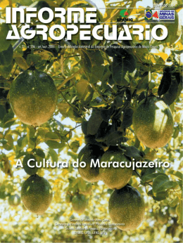 Informe Agropecuário nº206 - A cultura do maracujazeirohot!