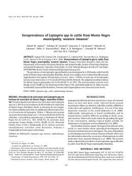 Seroprevalence of Leptospira eptospira spp in cattle from Monte