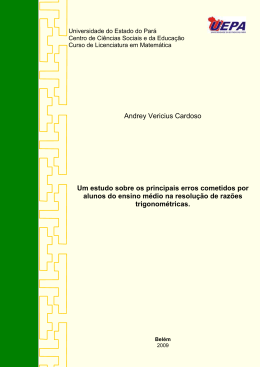 Andrey Vericius Cardoso Um estudo sobre os principais erros