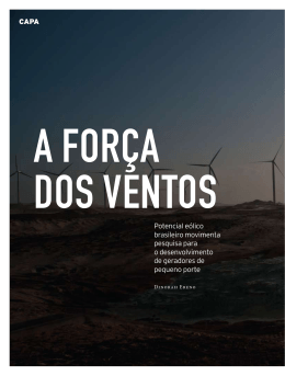 Potencial eólico brasileiro movimenta pesquisa para o