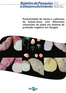 Produtividade de clones e cultivares de batata