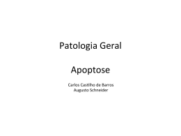 Patologia Geral Apoptose