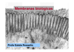 Membranas Biológicas ()