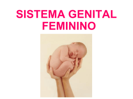 SISTEMA GENITAL FEMININO
