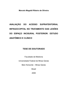 Tese Marcelo Magaldi - Biblioteca Digital de Teses e Dissertações