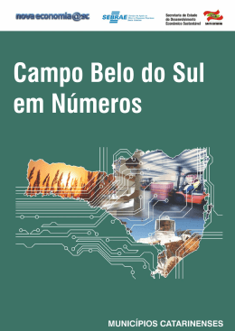 Campo Belo do Sul em Números