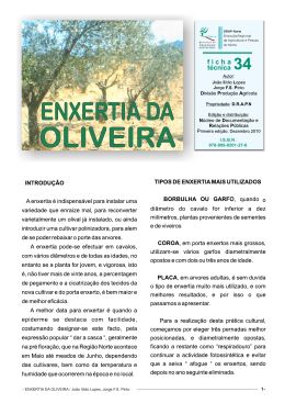 OLIVEIRA - Direcção Regional de Agricultura e Pescas do Norte