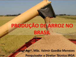 PRODUÇÃO DE ARROZ NO BRASIL