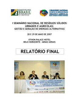 RELATÓRIO FINAL - Instituto Brasil
