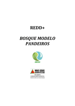 REDD Bosque Modelo Pandeiros A