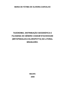 taxonomia, distribuição geográfica e filogenia do gênero codium