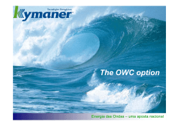 The OWC option