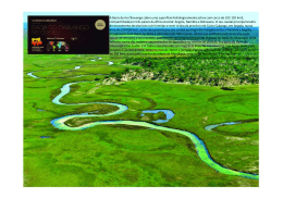 A Bacia do rio Okavango cobre uma superfície hidrologicamente