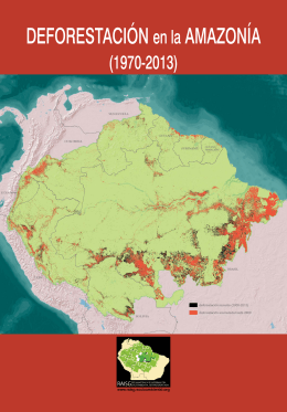 Deforestación en la Amazonía (1970-2013). - RAISG
