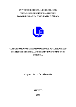 Roger Garcia Almeida - RI UFU - Universidade Federal de Uberlândia
