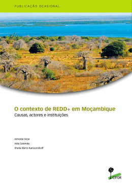 O contexto de REDD+ em Moçambique