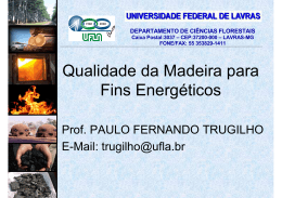 Paulo Fernando Trugilho