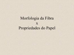 Morfologia da fibra X Propriedades do papel