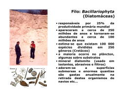Filo: Bacillariophyta (Diatomáceas)