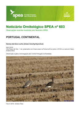 Noticiário Ornitológico SPEA nº 603