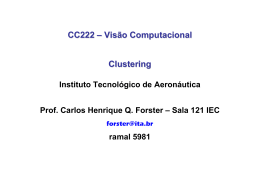 CC222 – Visão Computacional Clustering