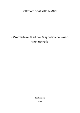 O Verdadeiro Medidor Magnético de Vazão tipo Inserção