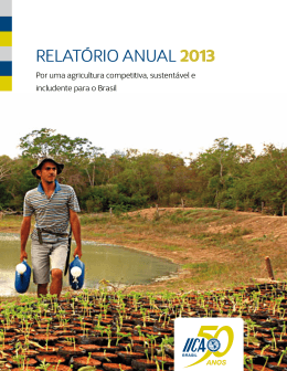 RELATÓRIO ANUAL 2013