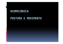 biomecanica - Zero Acidentes